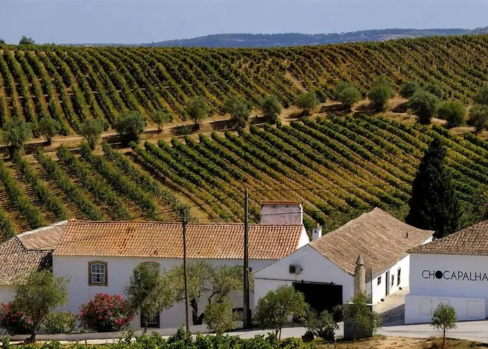 Sóis Montejunto Eco Alenquer